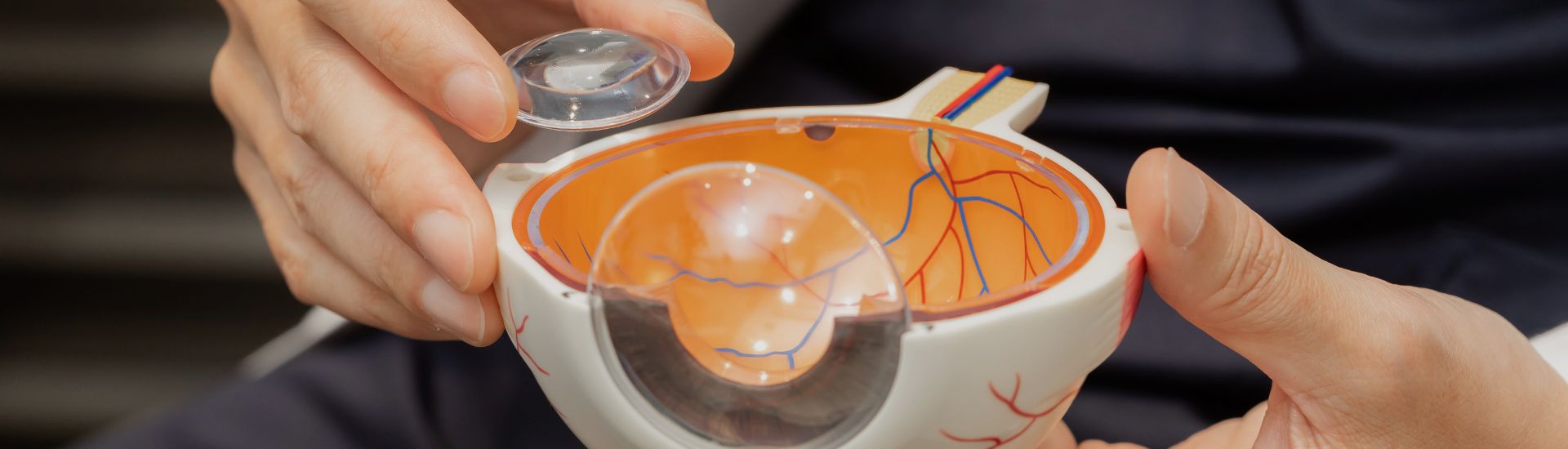 大学病院レベルの専門医療をわかりやすく、患者さまの理解と納得を大切にする診療体制